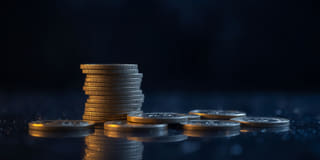 Transparency — straightforward platform details on the Fern Waardholm trading platform